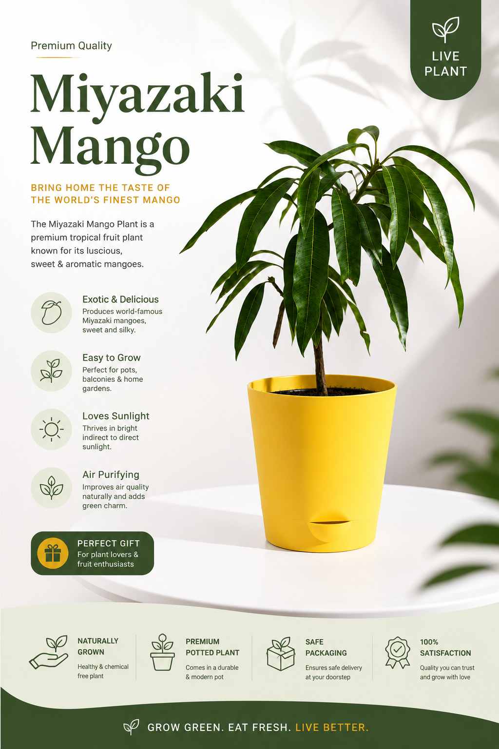 Miyazaki Ruby Mango (Egg of the Sun) – Ultra Premium Sweet Exotic Mango